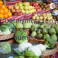 Determinación de cenizas y humedad