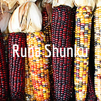 Runa Shunku