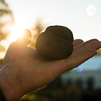 Truffle Festival- Canberra Region