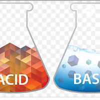 Fun With Acid And Bases