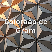 Coloração de Gram