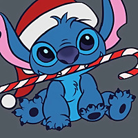 Ricy ICY Irish Tours