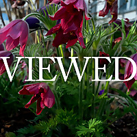 The Viewed Podcast