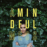 a mindful mess