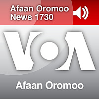 Tamsaasa Guyaadhaa Guyyaa - Sagalee Ameerikaa