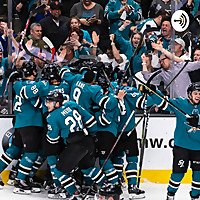 The Shark Attack