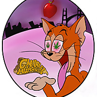 The Gnarly Munchies