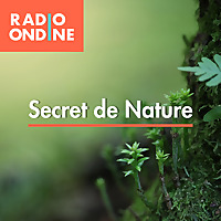 SECRETS DE NATURE