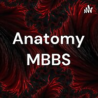The MBBS Way Galaxy