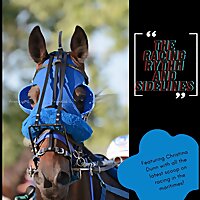 The Racing Rhythm And Sidelines