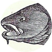 The Buying Seafood Cast