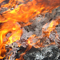 Into the Detritus