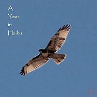 A Year in Haiku