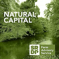 Natural Capital