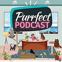 Healthy Food Happy Cat Podcast with Jess & Jericho caticles.com