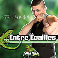 Loma Wild - Entre Écailles