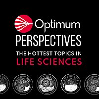 Optimum Perspectives