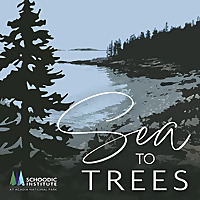 Sea to Trees