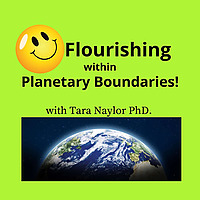 Flourishing within Planetary Boundaries