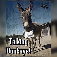 Talking Donkeys!