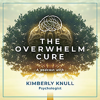 The Overwhelm Cure