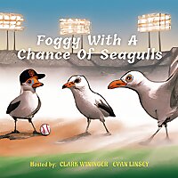 Foggy With A Chance Of Seagulls