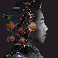 Aqua Naturalists