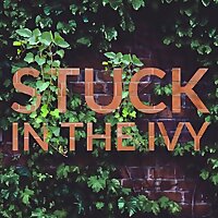 Stuck In the Ivy