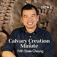Calvary Creation Minute