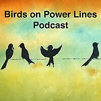 Birds on Power Lines