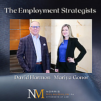 The Employment Strategists