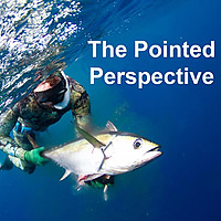 The Pointed Perspective