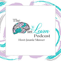 The Mindset To Learn Podcast