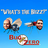'What's the Buzz?' Podcast by Bug Zero Pest Services