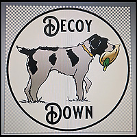 Decoy Down