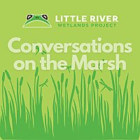 Conversations on the Marsh