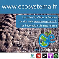 Ecosystema la chaîne nature