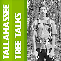 Tallahassee Tree Talks