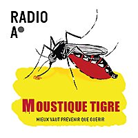 Moustique Tigre, mieux vaut prévenir que guérir