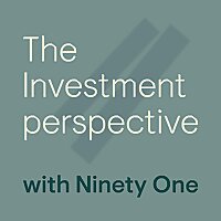 The Investment Perspective, with Ninety One