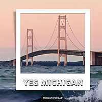 Yes Michigan