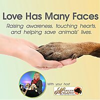 Love Has Many Faces