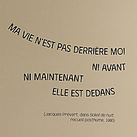 When Chemo is the New Black