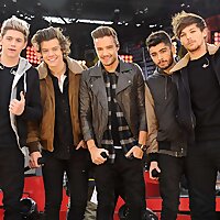 One Direction Solo Members Entertainment News