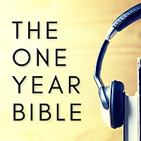 The One Year Bible
