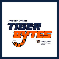 TigerBytes