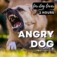 Dogs! (barking, howling, whining, growling, ecc...)