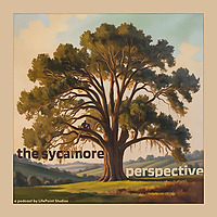The Sycamore Perspective