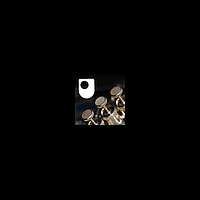Brass Instruments - for iPod/iPhone