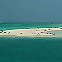 The Other Side of Eritrea